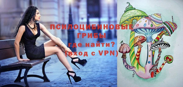 эйфоретик Протвино