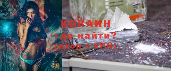 крисы Краснослободск